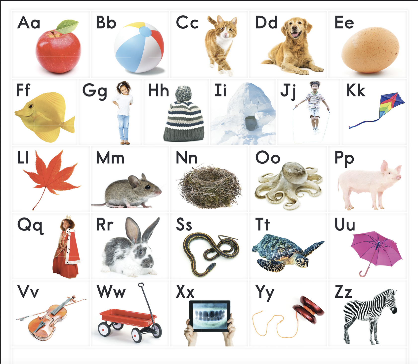 ABC Card