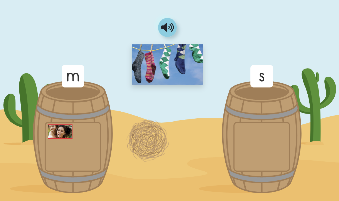 Picture Sorting - Incorrect.png