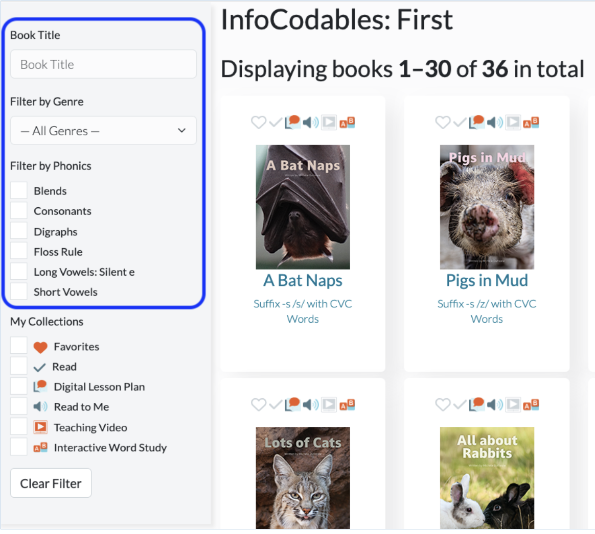 Infocodables filter.png