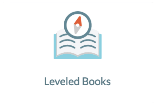 leveled icon.png
